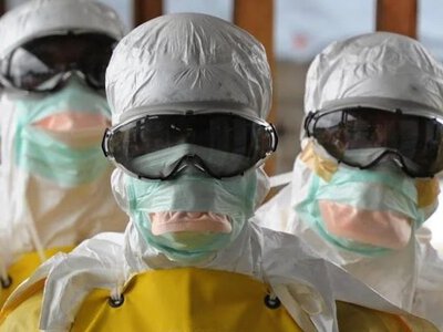 Епідемія як бізнес-модель: чому в Росії масово знищують худобу