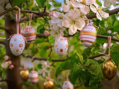 Якою буде погода на Великдень — розповіла синоптикиня