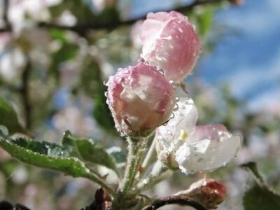 Синоптикиня назвала дати, коли до України повернеться весняне тепло