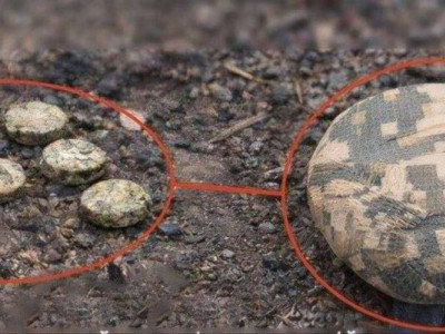 У Херсоні зафіксували нові випадки дистанційного мінування