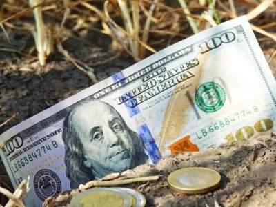 Середня вартість гектара землі в Україні продовжує зростати