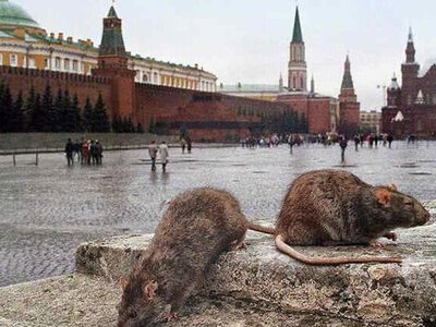 У кремлі назріває внутрішній конфлікт: боротьба за контроль над парламентом рф — Зигар