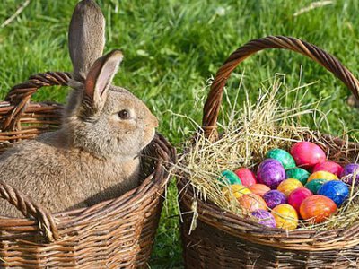 Сакральна агрономія: чому Великдень як точка відліку нового врожаю