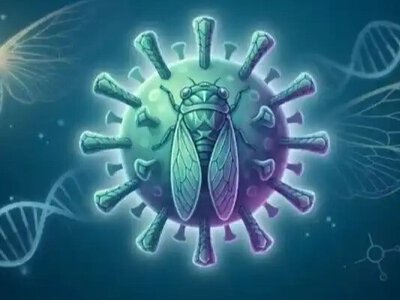 Новий штам COVID-19 поширюється світом