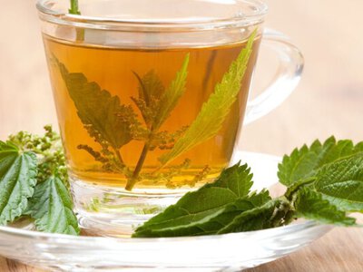 Цей ефективний засіб від гіпертонії росте на кожному городі: просто заваріть чай