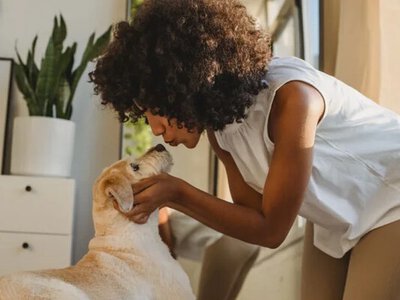 Зворушливий песик у гарному одязі виявився занадто злим (відео)