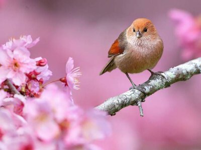 Зіткнення циклонів змінить погоду в Україні: синоптик назвав дату, коли остаточно потепліє