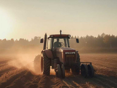 Посівна в розпалі: Одещина в топі, але врожай під загрозою