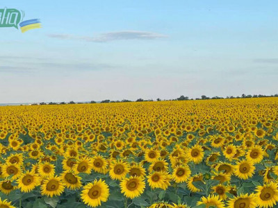 Аграрії Херсонщини можуть отримати фінансову підтримку у межах ініціативи захисту від посухи«АгроЩит»