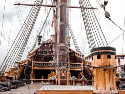 Перетворили кораблі на решето: крихітний молюск знищив непереможну Іспанську армаду