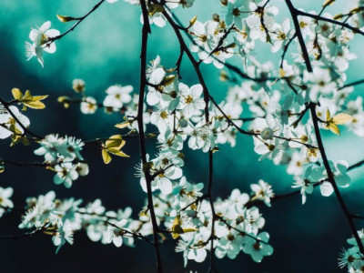 Пауза від опадів: якою буде погода в Україні найближчими днями