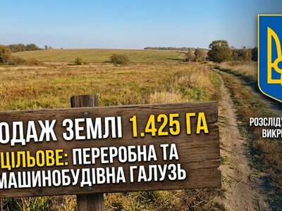 Змова на торгах земельної ділянки у Красненській громаді: подробиці викриття від антимонопольників