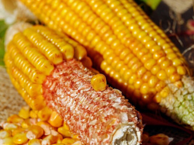 Удари по логістиці б'ють по кукурудзі: що відбувається з цінами в портах