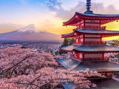 Стійка симпатія: як українці ставляться до Японії