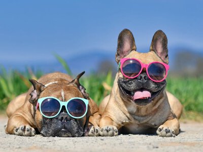 Прогнози про спеку +45°: синоптик спростував погодні фейки та попередив про похолодання