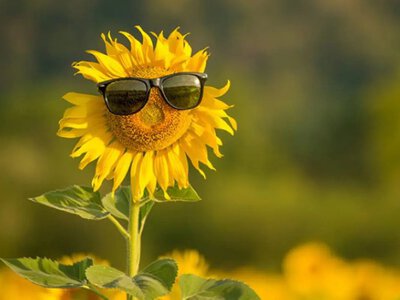 Синоптики відповіли, чи справді на українців чекає аномально спекотне літо