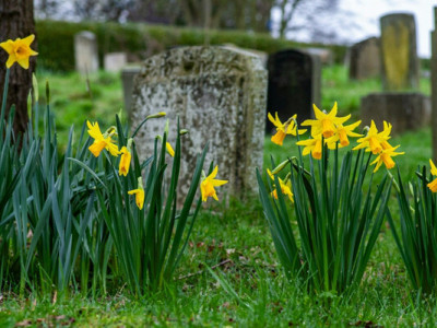 Чому після Великодня йдуть на кладовища: сенс Провідної неділі