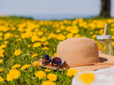 Екстремальна спека чи помірне тепло: прогноз на літній сезон 2026 року 