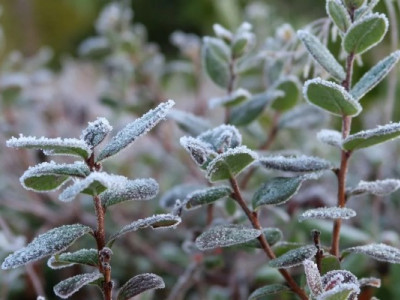 В Україну прийшло різке похолодання: яку погоду очікувати на тижні