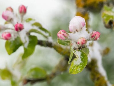 Не ховайте теплі речі: синоптики попередили про ще сильніше похолодання