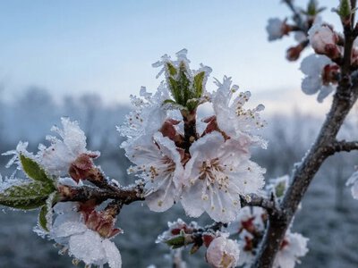 Погодний злам: в Україну йде арктичне похолодання з аномальними нічними заморозками