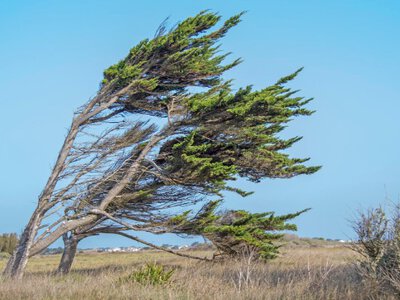 Помаранчевий рівень небезпеки: нове попередження від синоптиків
