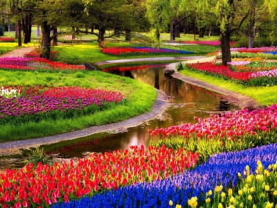 Як зник найбільший парк в Європі - Мошногір'я