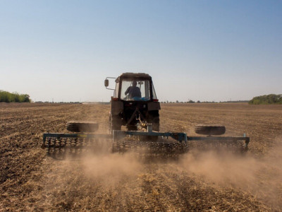 Одещина продовжує лідирувати за темпами сівби: що вже посіяли аграрії