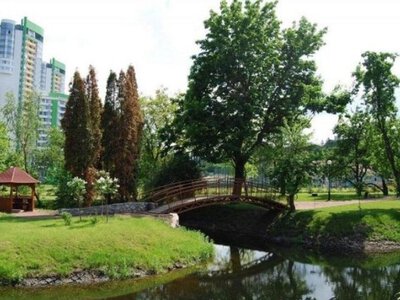 Зелений Київ: які райони виявилися лідерами екологічного рейтингу