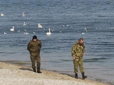 Хотіли сонця і моря, а залишилися бомжами. У Криму відбирають землю у росіян та учасників СВО