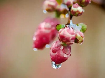 Потепління не буде: синоптики дали невтішний прогноз