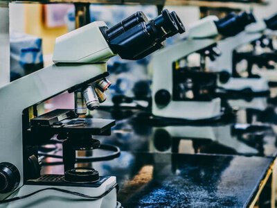 Вчені розморозили істоту, що спала 24 000 років – вона вже розмножується (фото й відео) (Відео)