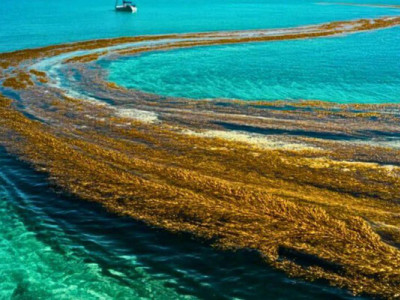 Океан «задихається»: унікальне море втрачає кисень із рекордною швидкістю