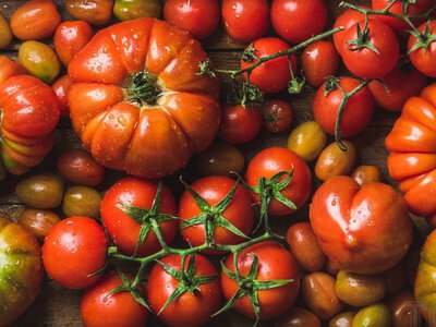 Томати удобрюють при посадці: по 2 ложки в лунку - і помідори ростуть як скажені