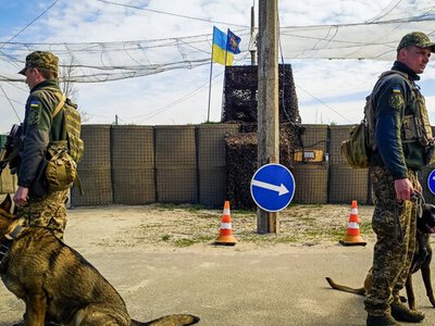 Гвардійці показали своїх чотирилапих напарників: як служать на Чернігівщині