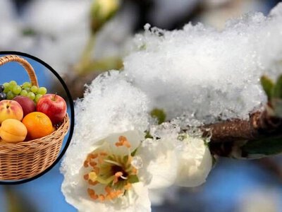 Агросезон на Дніпропетровщині: весняні виклики та надії на врожай