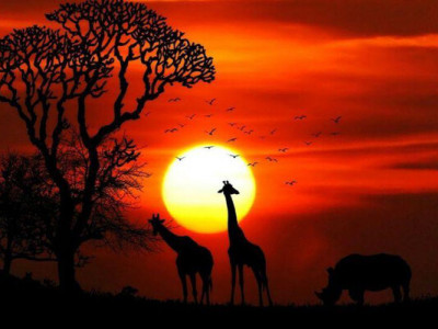 Тріщини, що змінять планету: що відбувається під Африкою