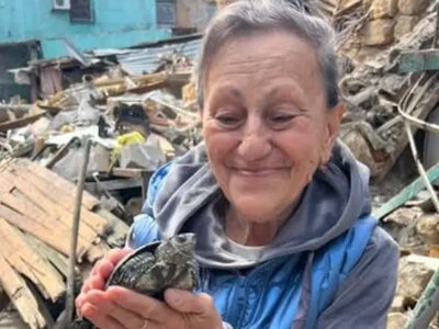 Життя перемагає: в Одесі під завалами знайшли черепаху