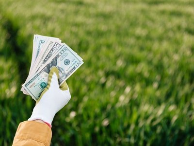 Держава виплатить аграріям більше 300 млн грн компенсації за купівлю української техніки