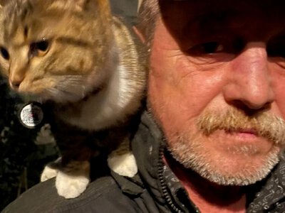 У Києві підтримали петицію про вшанування “дяді Саші” - рішення за міською владою