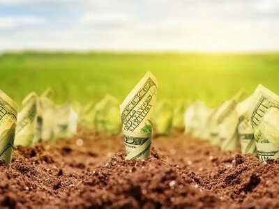 На Рівненщині судитимуть посадовця, який за $2500 «вирішував» земельні питання