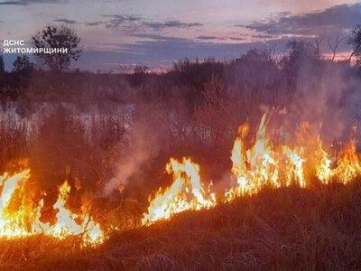 На Бердичівщині ледь не згорів будинок через паліїв трави