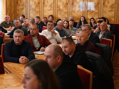 Закарпатський бізнес на межі викликів: що чекає деревообробну галузь і чи втратить регіон свої позиції
