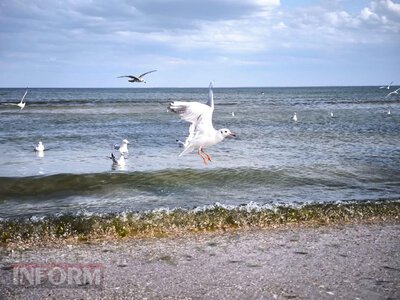 В Одеській області розпочали перевірку пляжів на готовність до літнього періоду