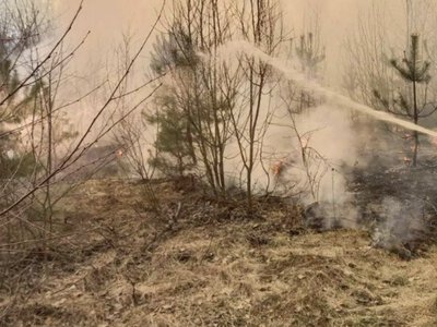 По усій території Рівненщини оголошено надзвичайний рівень пожежної небезпки