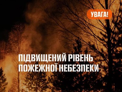 На Вінниччині оголосили надзвичайний рівень пожежної небезпеки на 5–6 травня