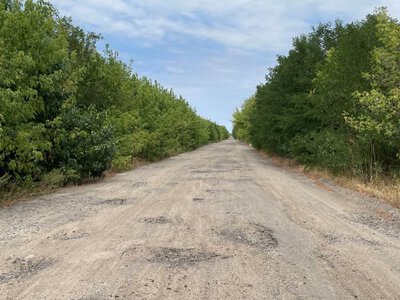 Ремонті траси Миколаївщини за 633 мільйони виграв підрядник з фіктивними роботами