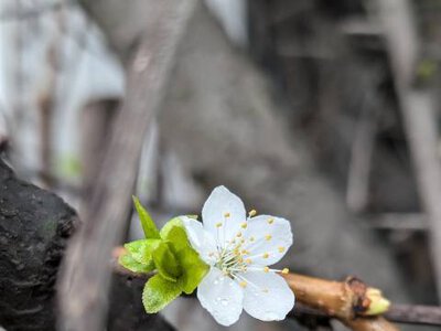Погода на вівторок: ясно, +28°C