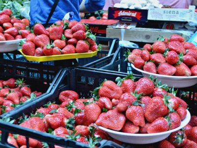 Полуничний сезон 2026: коли чекати на перші ягоди з ферм Дніпропетровщини та якими будуть ціни