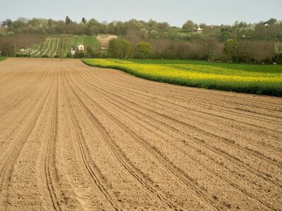 Паспорт землі: у яких випадках витяг із кадастру обов'язково має бути